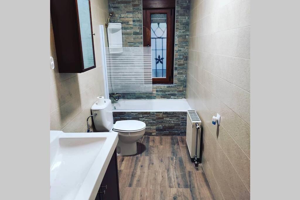 Casa Rural La Vizana Alija del Infantado エクステリア 写真